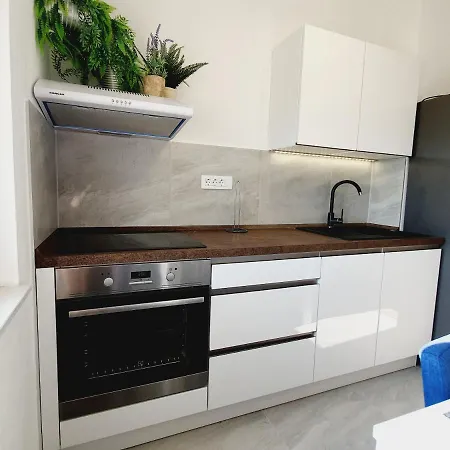 White House * 두기라트